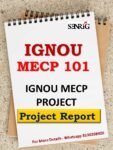 MECP 101 Project Report 2020-21 