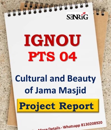 IGNOU PTS 4 Project Cultural and Beauty of Jama Masjid