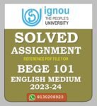 BEGE 101 From Language to Literature Solved Assignment 2023-24