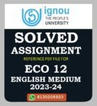ECO 12 Elements of Auditing Solved Assignment 2023-24