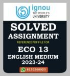 ECO 13 Business Environment Solved Assignment 2023-24
