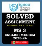 MS 3 Economic and Social Environment Solved Assignment 2023-24