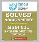 MSEI 021 Introduction to Information Security Solved Assignment 2023-24