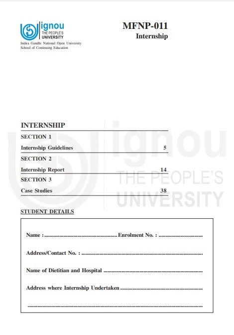 MFNP 11 Internship Report Handwritten Workbook 2024-25